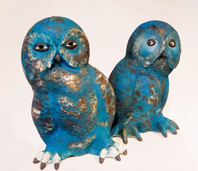 Les Jumelles Chouettes bleues